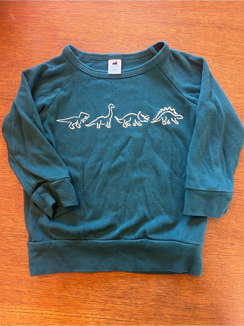 Kids Bamboo Cotton Dinosaur Long Sleeve Sweatshirt Little and Lively Brand 1T/2T